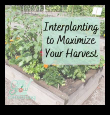 Dārzkopības apvāršņi Dziļi iedziļināties dārza izglītībā 4 Dārzkopības horizonti: dārza izglītības dziļumu izpēte