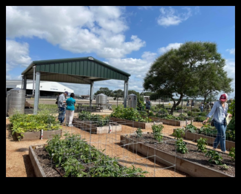 Dārzkopības apvāršņi Dziļi iedziļināties dārza izglītībā 2 Dārzkopības horizonti: dārza izglītības dziļumu izpēte