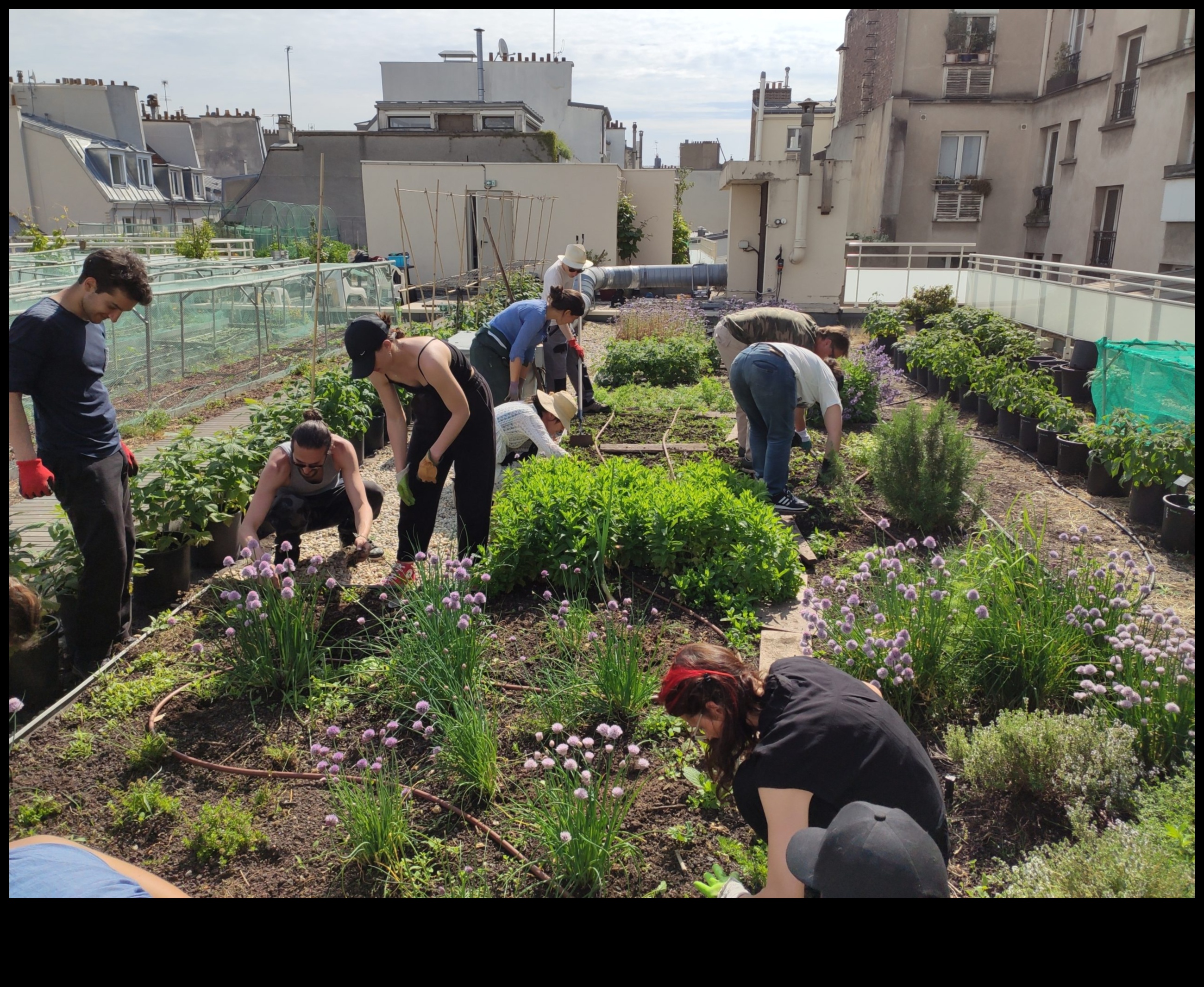 Dārzkopības apvāršņi Iedziļināties dārza izglītībā 5 Dārzkopības horizonti: dārza izglītības dziļumu izpēte