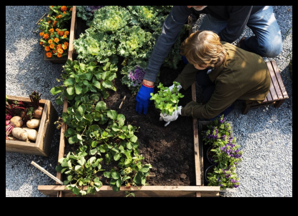 Zaļa dzīve, mazas telpas: konteineru dārzkopības ieskats