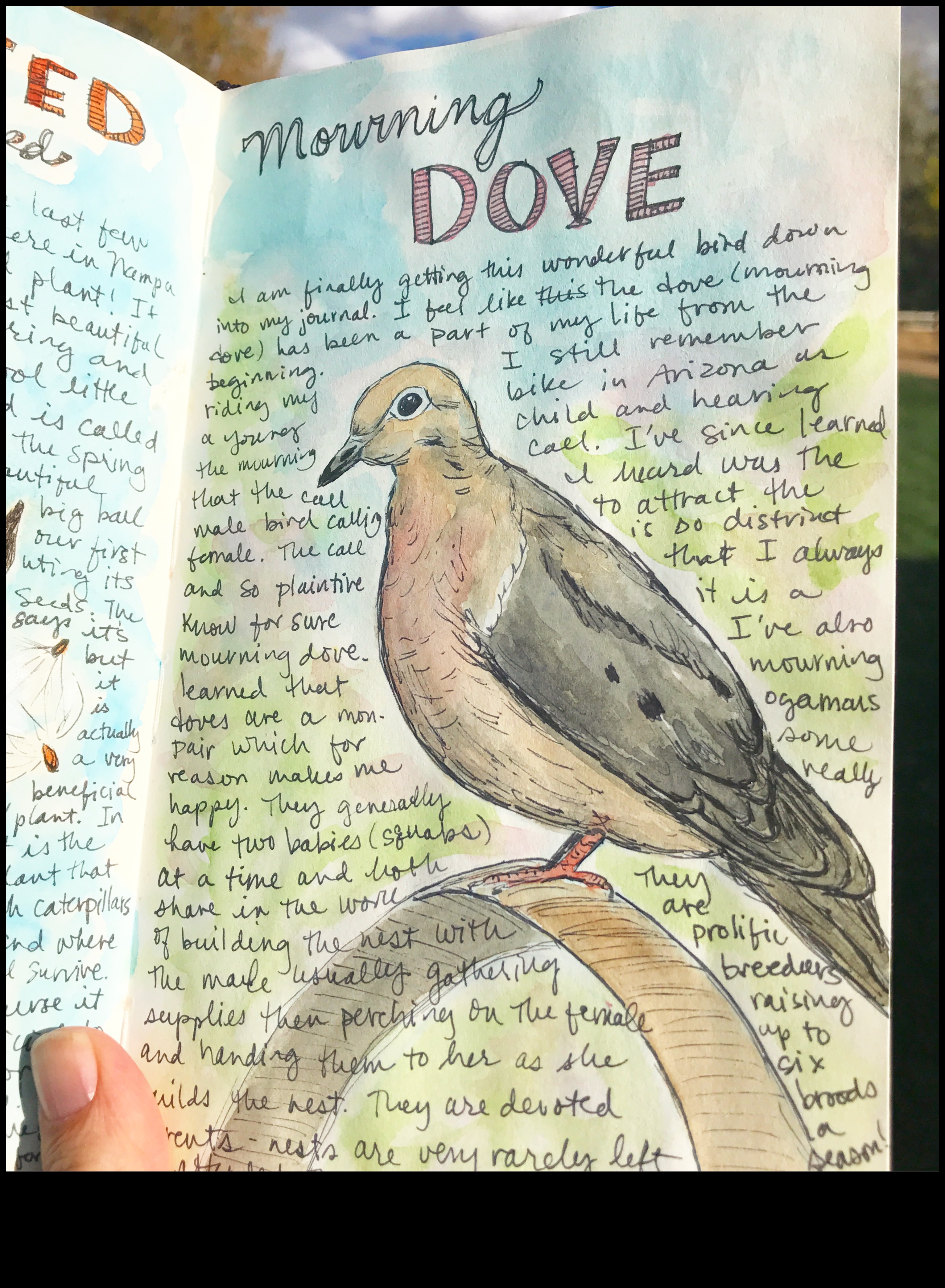 Crafty Kids' Nature Journal: āra piedzīvojumu dokumentēšana