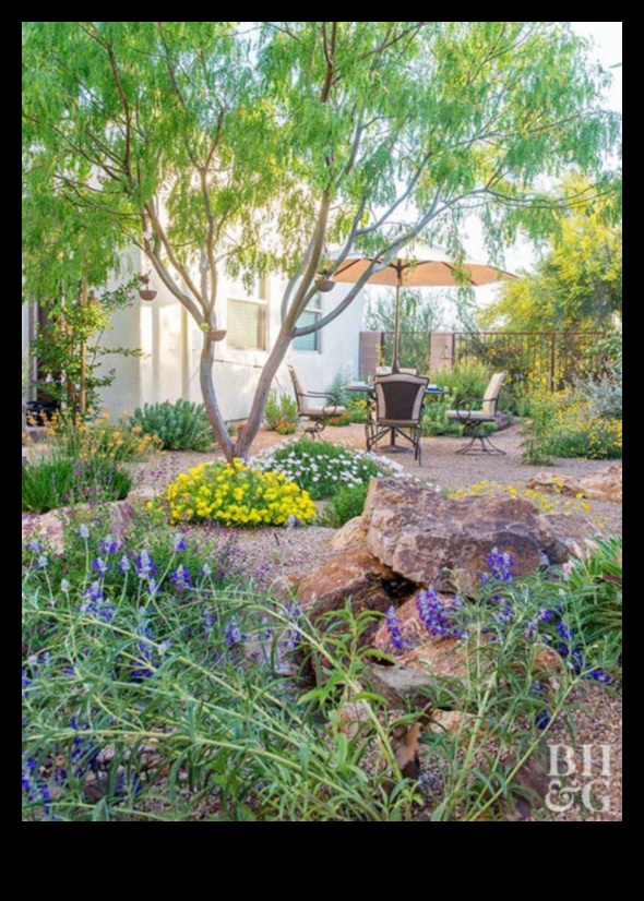 Ilgtspējīgs ainavu dizains Rokasgrāmata skaistu un videi draudzīgu āra telpu izveidei 4 Zaļās inovācijas: ilgtspējīgs ainavu dizains 21. gadsimtā