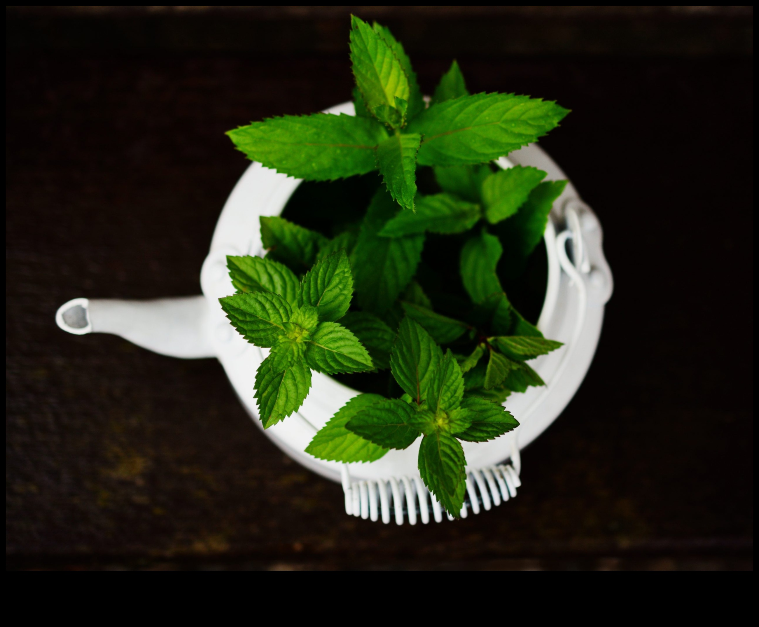 Piparmētru uzlējumi: ceļojums pa piparmētru tēju pasauli