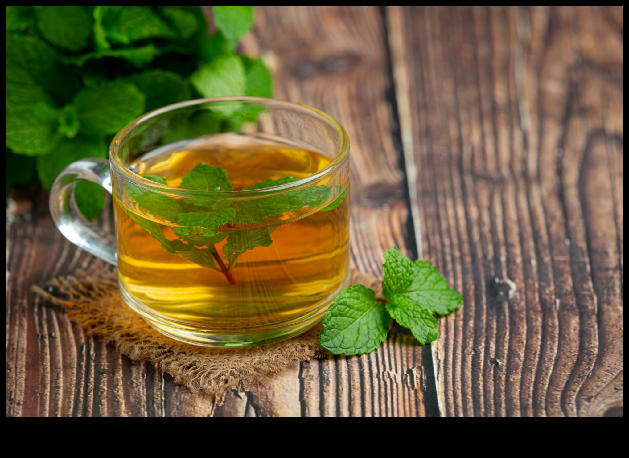 Piparmētru uzlējumi: ceļojums pa piparmētru tēju pasauli