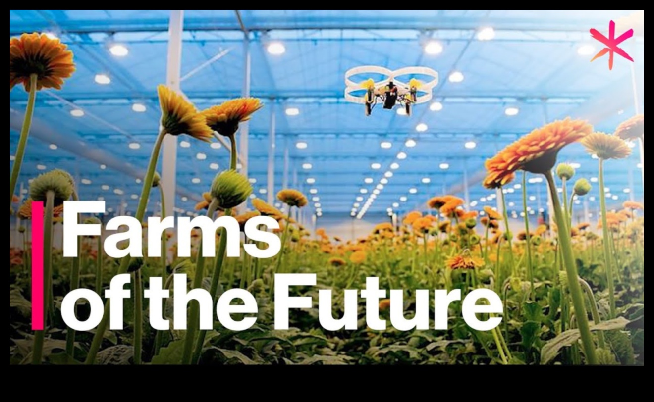 Ražas novākšana: lauksaimniecības zeme un labības lauki visā pasaulē