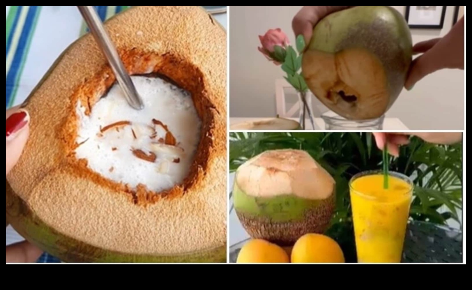 Svaigi malki: ceļvedis ideālu kokosriekstu ūdens maisījumu pagatavošanai