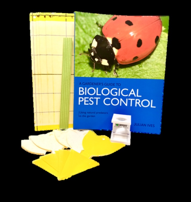 Bugs, atkāpies! Dārznieka plāns kaitēkļu kontrolei