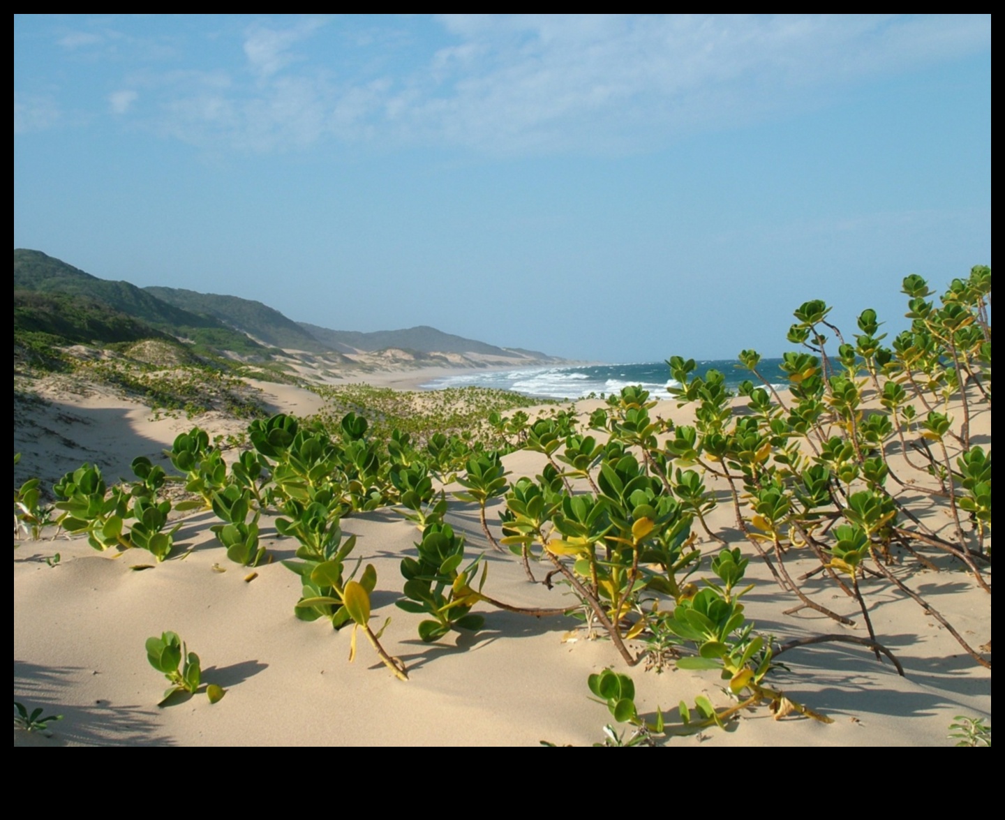 Estuāri Piekrastes ekosistēmu dzīvības spēks 3 Kāpēc upju estuāri ir svarīgas ūdens ainavu sastāvdaļas?