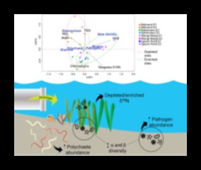 Estuāri Piekrastes ekosistēmu dzīvības spēks 2 Kāpēc upju estuāri ir svarīgas ūdens ainavu sastāvdaļas?