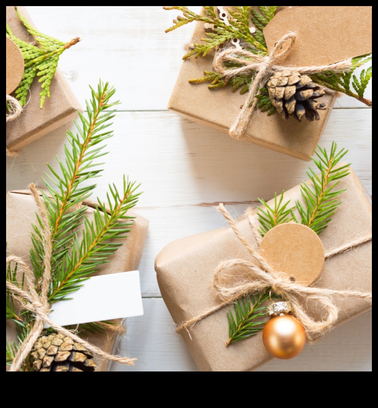 Zaļais aizbildnis: ilgtspējīgas dāvanas Zemes aizstāvim