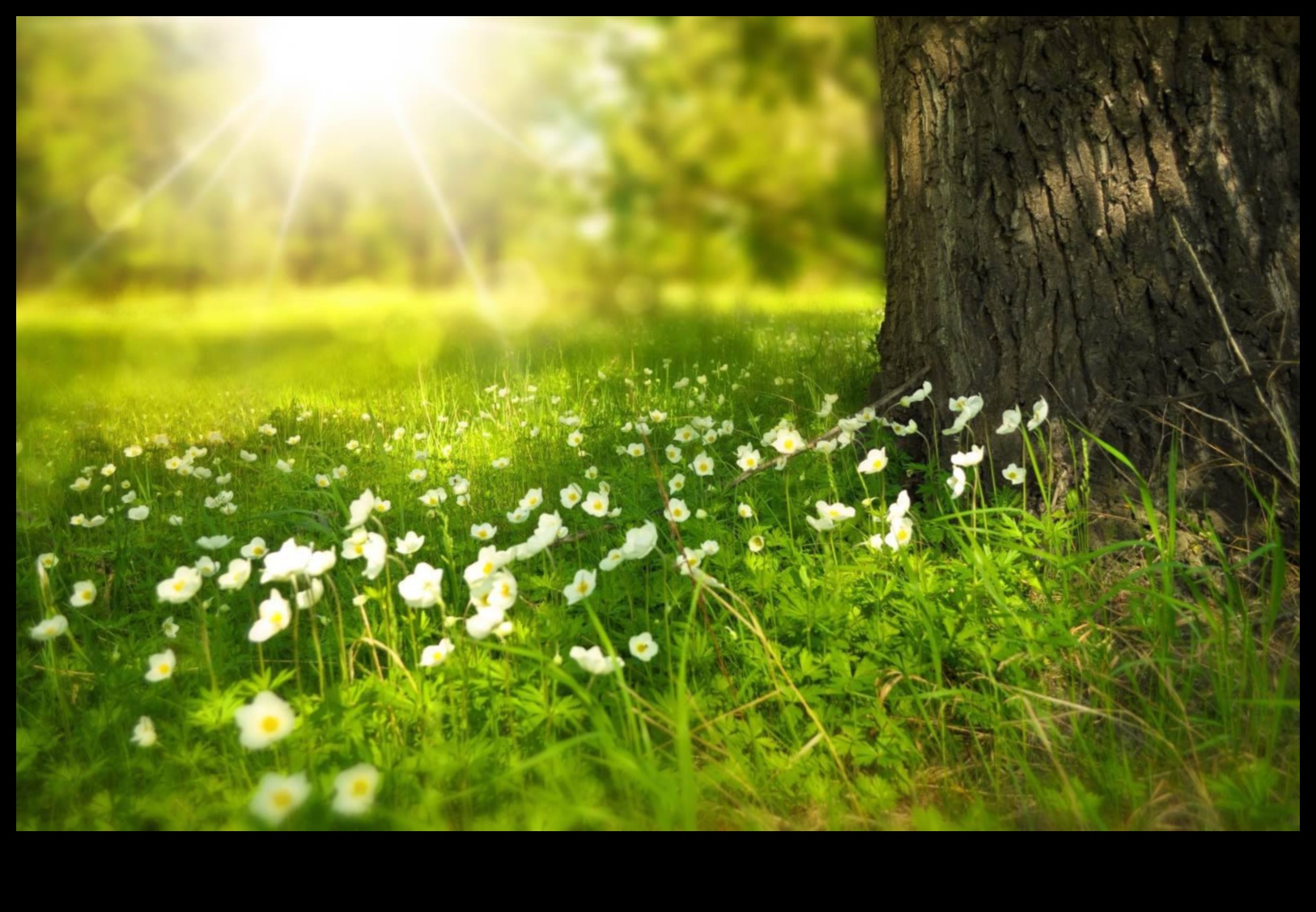 Zemes klēpī: sulīgu un mierīgu ainavu svētki