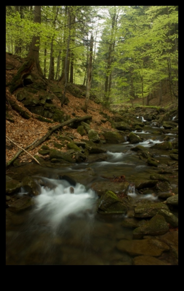 Zemes čuksti: rāmu un rāmu ainavu kolekcija katrā kadrā