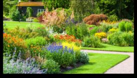 Zaļāk kopā: dinamisku dārzu kopšana, savienojot tos pārī