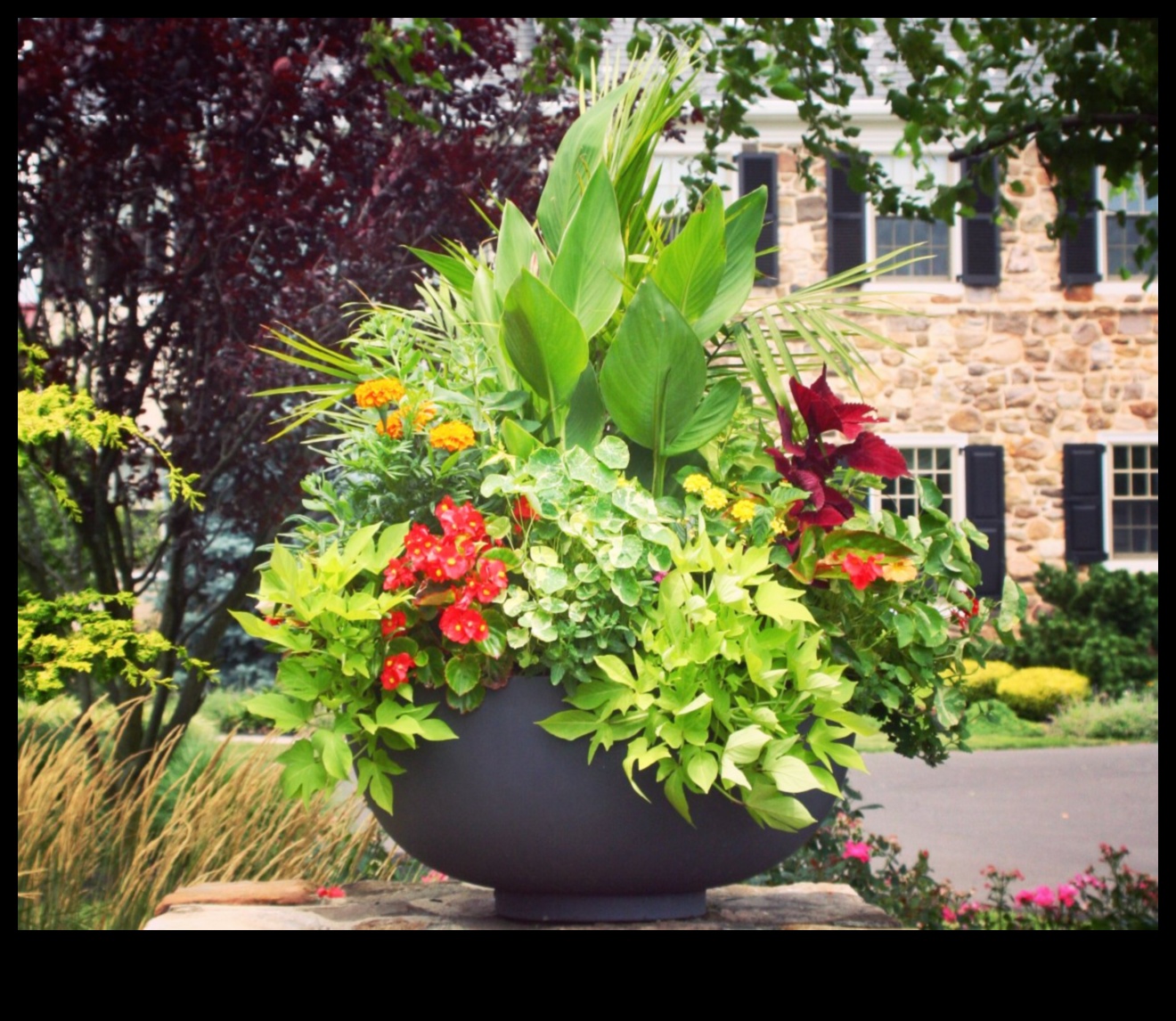 Topošais skaistums: konteineru dārzkopības māksla un zinātne