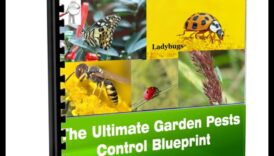 Bugs, atkāpies! Dārznieka plāns kaitēkļu kontrolei