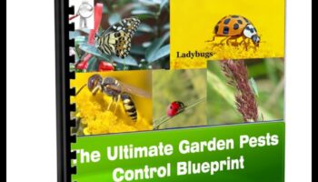 Bugs, atkāpies! Dārznieka plāns kaitēkļu kontrolei