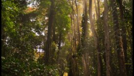 Zemes čuksti: rāmu un rāmu ainavu kolekcija katrā kadrā