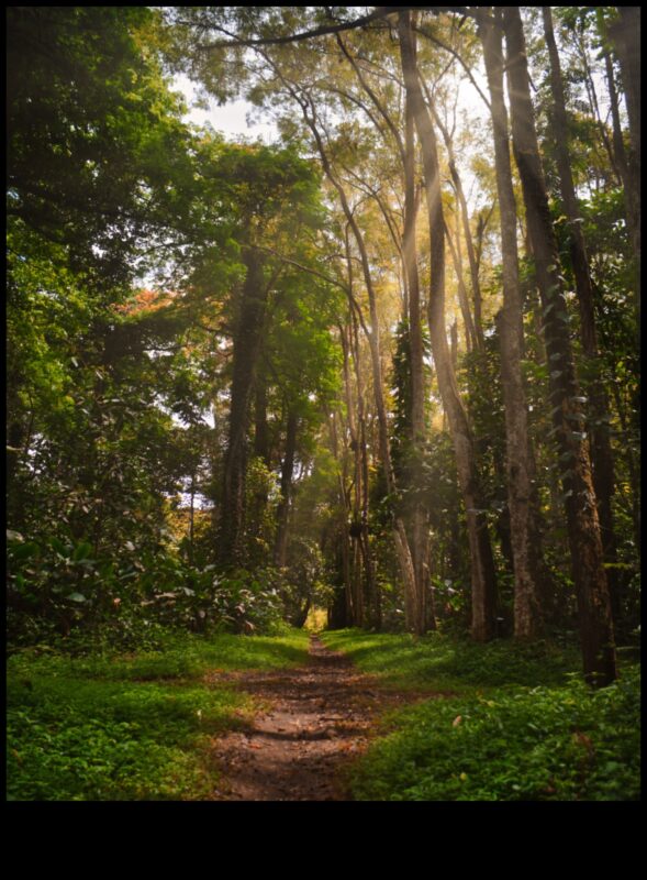 Zemes čuksti: rāmu un rāmu ainavu kolekcija katrā kadrā