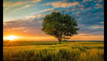 Ieelpojiet skaistumu: gleznainas ainavas, lai iedvesmotu