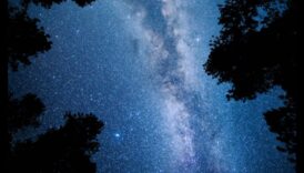 Debesu ainas: Debesu ainavas katrā kadrā