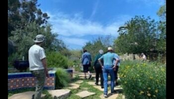 Sakņojas atklājumos: izpētiet jaunus apvāršņus dārza darbnīcās