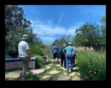 Sakņojas atklājumos: izpētiet jaunus apvāršņus dārza darbnīcās