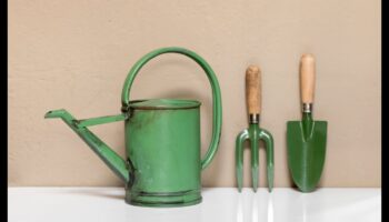 Lieliski dārza sīkrīki: definēts būtisks aprīkojums