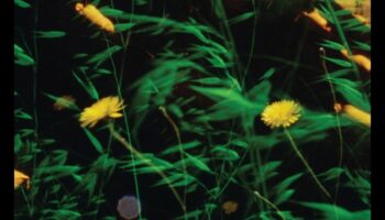 Melodiskās ainavas: Dabas simfonija mūzikā