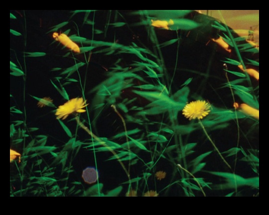 Melodiskās ainavas Skaņas un vietas izpēte 1 Melodiskās ainavas: Dabas simfonija mūzikā