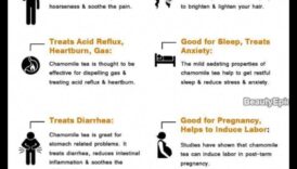 Mierīgs un mājīgs: baudiet kumelīšu tējas ērtības